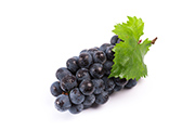 Recommended solution for grape diseases and pests
